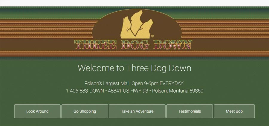 Website Design in Montana