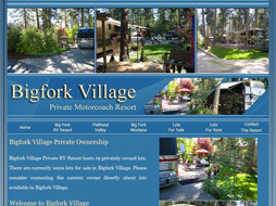 Website Design