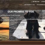 Web Design in Montana