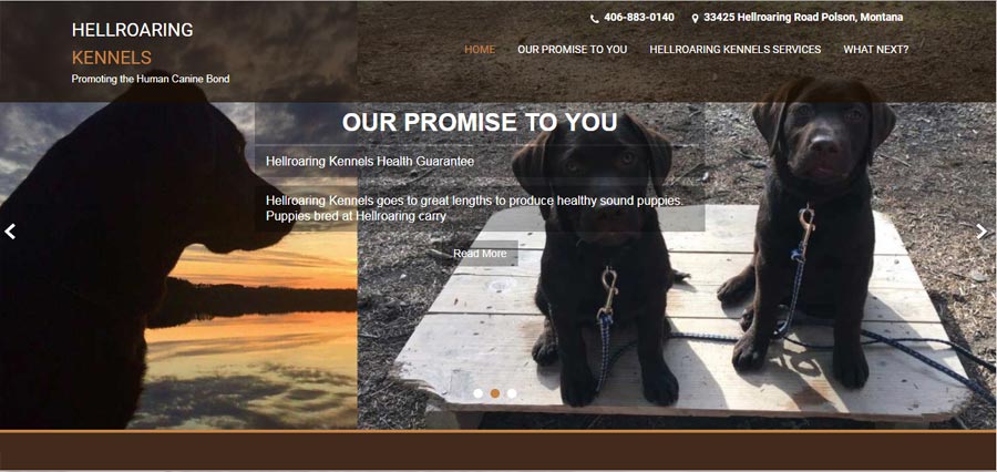 Web Design in Montana